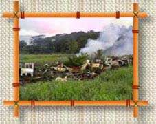 burning cars at dump